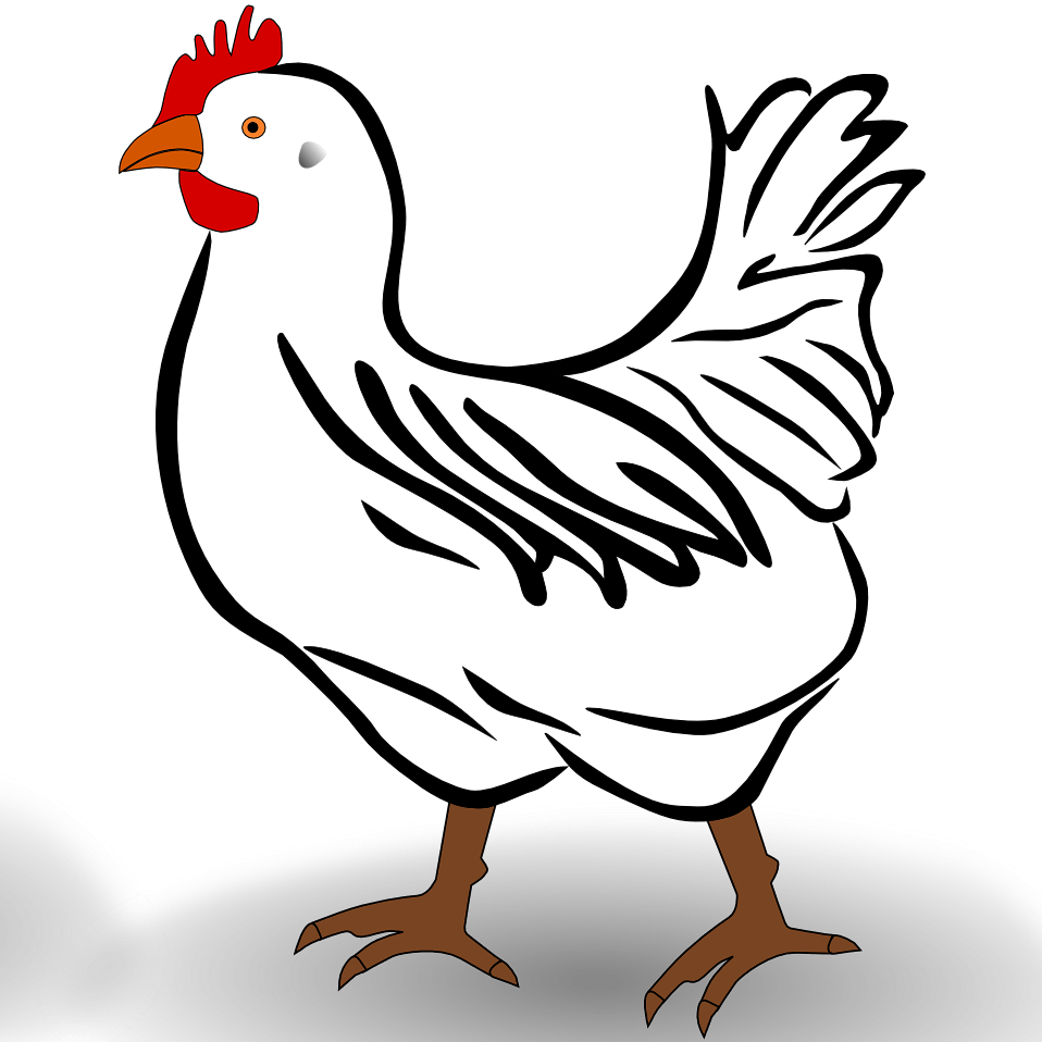 www.cerstva-vejce.cz favicon